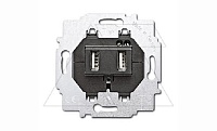 Basic 55 - Розетка 2хUSB (лицевая накладка для акустических и 2xUSB розеток заказывается отдельно)