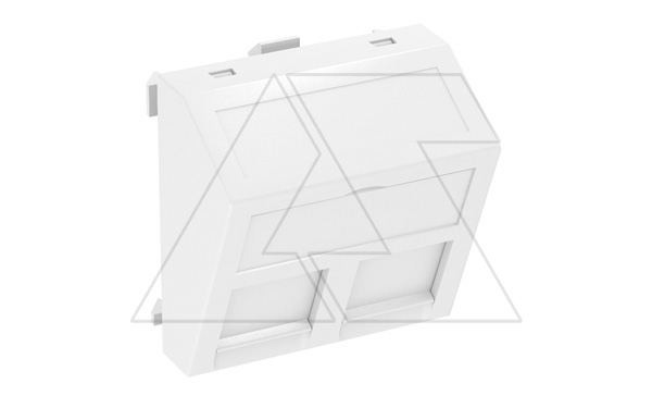 Корпус DTS-2RM RW1 для 2хRJ45 тип RM, пустой, 2M, наклонный вывод, белый, поликарбонат