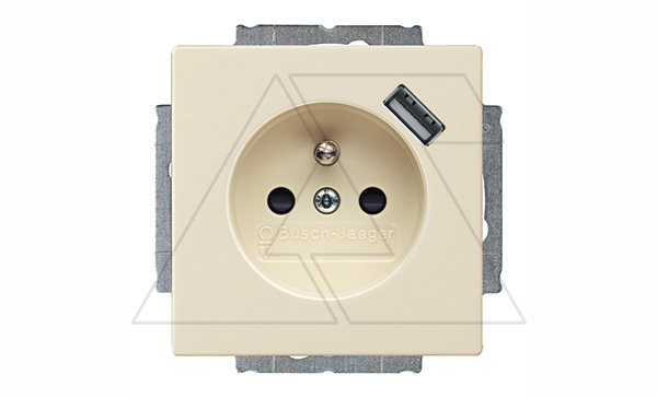 Basic 55 - Розетка 2P+E нем. стд. + USB (сл.кость)