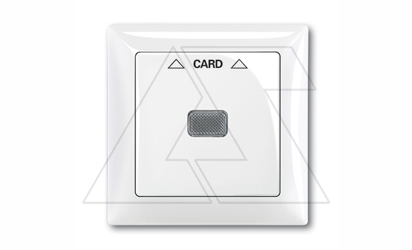 Basic 55 - Лицевая панель для выключателя с ключом-карточкой механизм 2025U (белый)