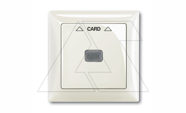 Basic 55 - Лицевая панель для выключателя с ключом-карточкой механизм 2025U (шале-белый)