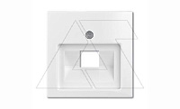 Basic 55 - Лицевая панель для одинарной информационной розетки (сл.кость)