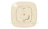 Netatmo-Valena Allure-Умный выключатель рольставней 500VA 230V, слоновая кость