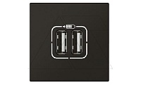 Mosaic - Розетка 2xUSB Type A, 2М, 5V, 2400mA, винт. зажимы, матовый черный