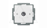 Basic 55 - Розетка TV простая 2400MHz (белый, блистер)