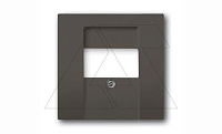 Basic 55 - Лицевая панель для аккустических и 2хUSB розеток (шато-черный)
